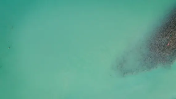 Cazino Lucky Luke Cazinou Suport